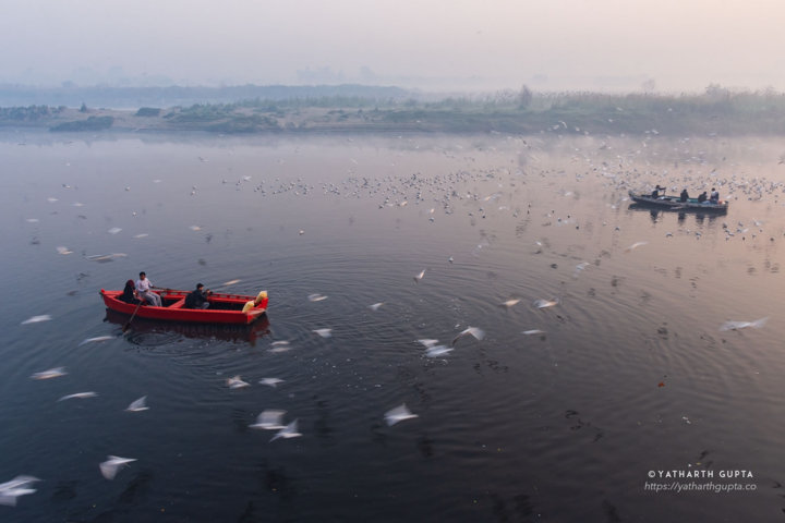 Boats in the yamuna river and a circular formation of seagulls on top.