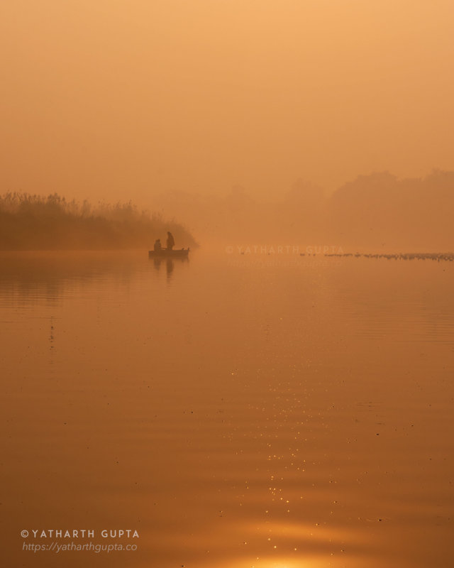 Yamuna, Delhi