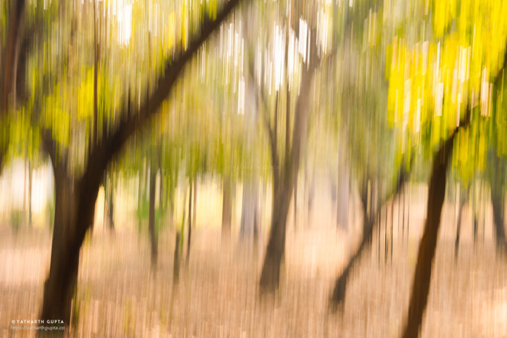 Abstract Trees